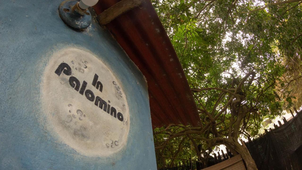 Hostel In Palomino Kültér fotó